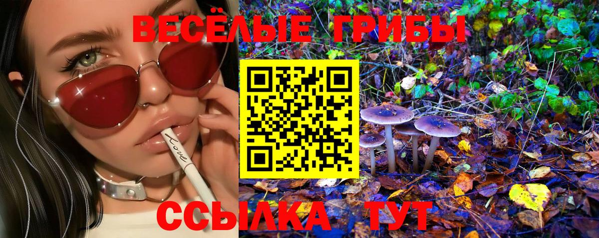 Псилоцибиновые грибы ЛСД Мариинск